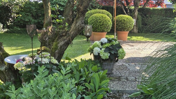 A garden with a gravel path, green plants, and neatly trimmed bushes. - Apartment Riedel '1-Room Apartment, 45 sqm' with Shared Garden, Balcony and Wi-Fi (Immenstaad am Bodensee)