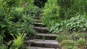 A stone staircase surrounded by lush greenery and plants.