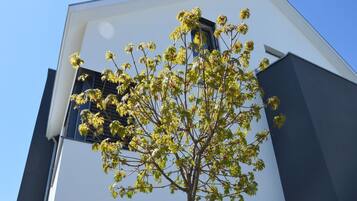 A tree with green leaves in front of a modern building with a white facade and dark accents.