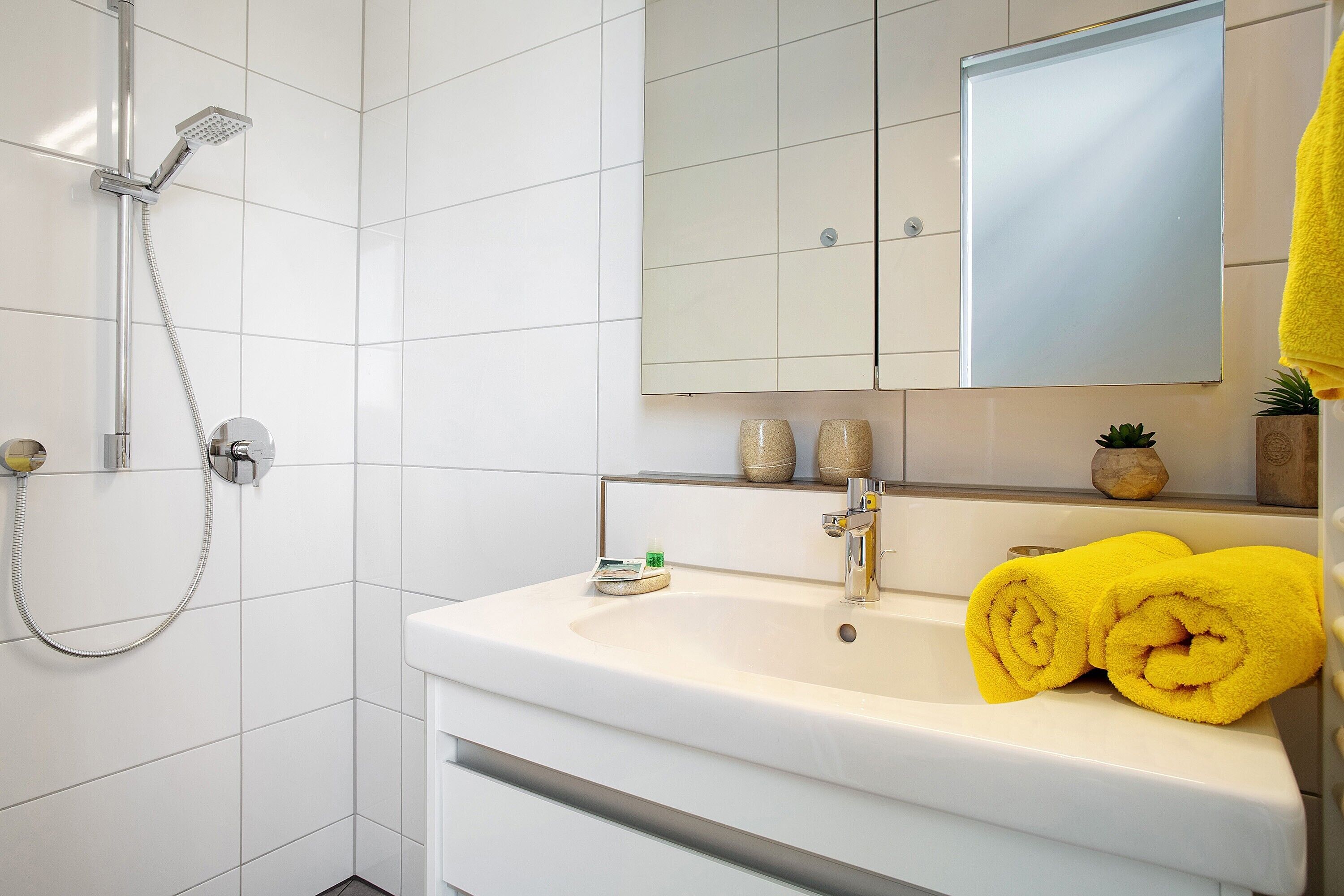 Dusche, Haartrockner, Handtücher
