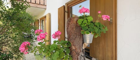 A building with wooden shutters, a tree trunk with hanging flower pots, and pink flowers.