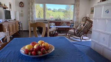 TV, fireplace, DVD player