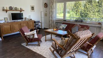 电视、壁炉、DVD 播放器