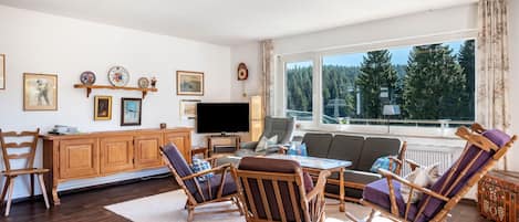 TV, fireplace, DVD player