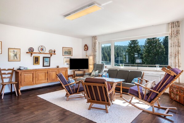 TV, fireplace, DVD player