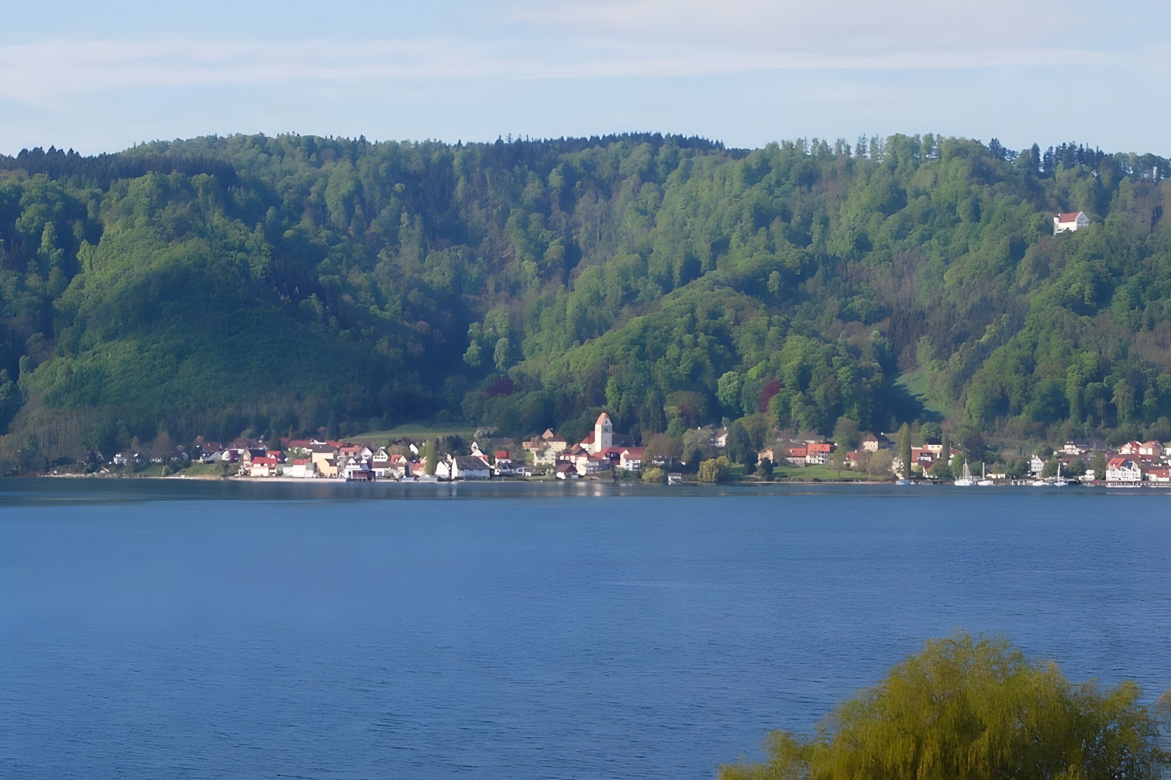 A lakeside town with a prominent church on a hill, surrounded by dense forest.