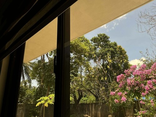 Spacious, Affordable  5 Bedroom House & Family Orchard in Amazing Juban!