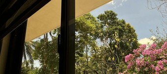 Spacious, Affordable  5 Bedroom House & Family Orchard in Amazing Juban!