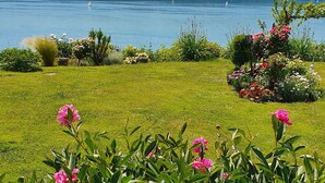 A lakeside garden with peonies and a view of a lake with sailboats. - Apartment 'Panorama-seetraum' with Lake View, Private Terrace and Wi-Fi (Sipplingen)