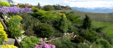 المنطقة المحيطة بالمنشأة