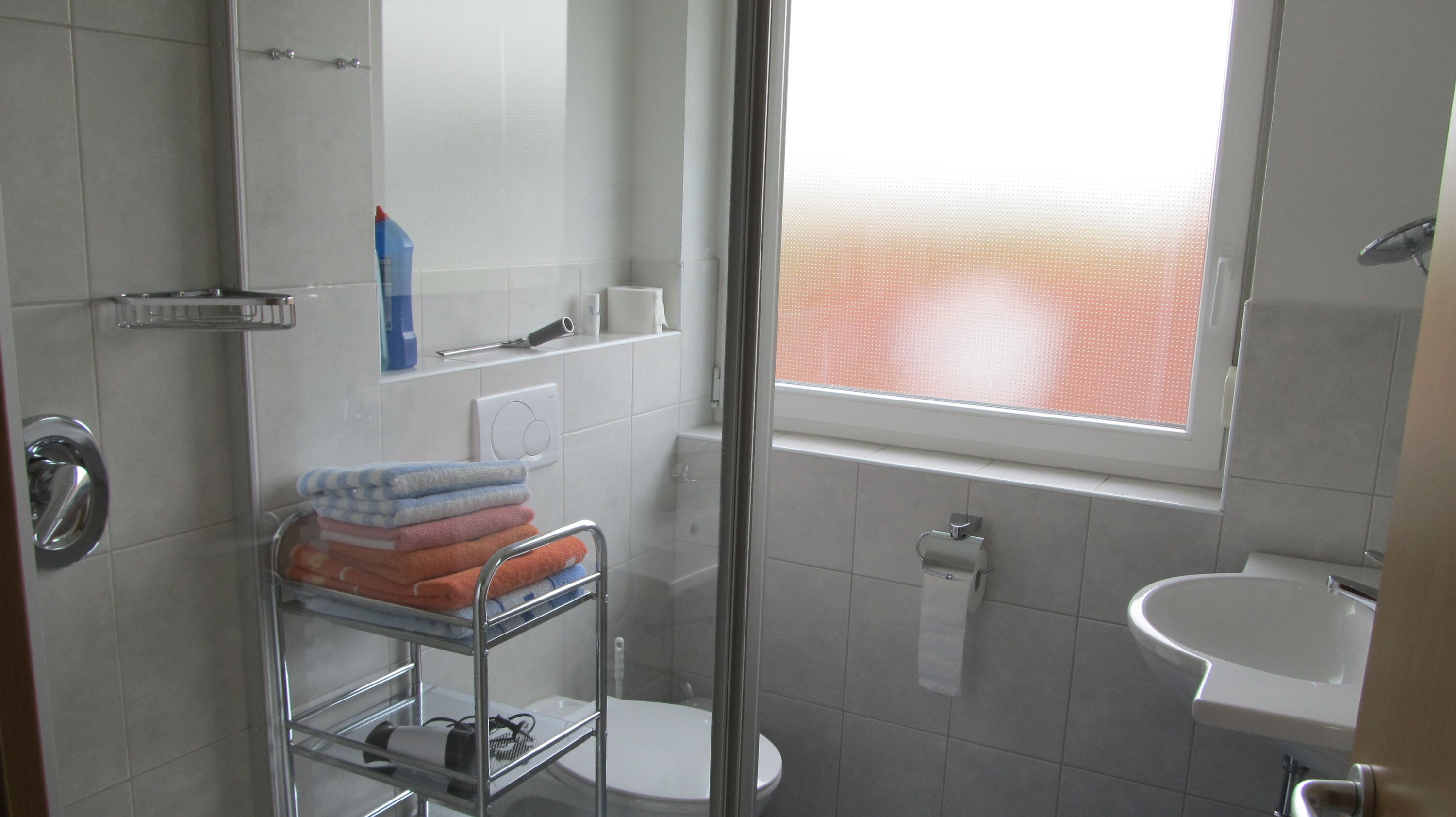 Shower, hair dryer, towels