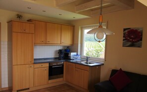 Fridge, microwave, oven, stovetop - Vacation apartment '1, 70sqm' with lake view, private balcony and Wi-Fi (Wasserburg (Bodensee))