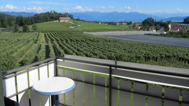 A balcony with a table and chairs, overlooking a vineyard and distant mountains.
