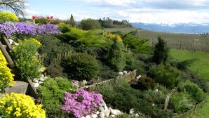 A garden with various plants and flowers, a wooden fence, and a mountainous landscape in the background.