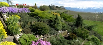 Vacation apartment '2, 70sqm' with lake view, private balcony and Wi-Fi