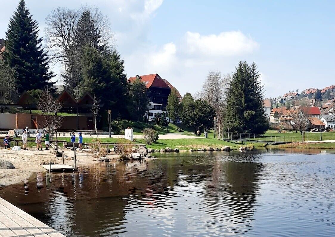 A lakeside park with a wooden dock, trees, and buildings in the background.