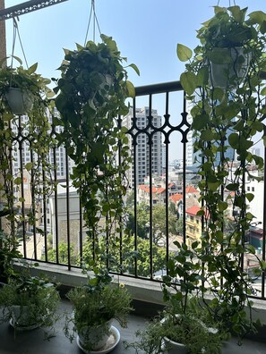 Deluxe Apartment, 3 Bedrooms, City View | View from room