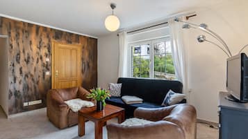 TV, fireplace, ping pong