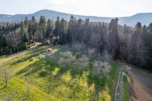 A rural landscape with a cabin, a dirt path, and a forested area.