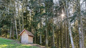 Uklassifisert bilde, 3 av 41, knapp