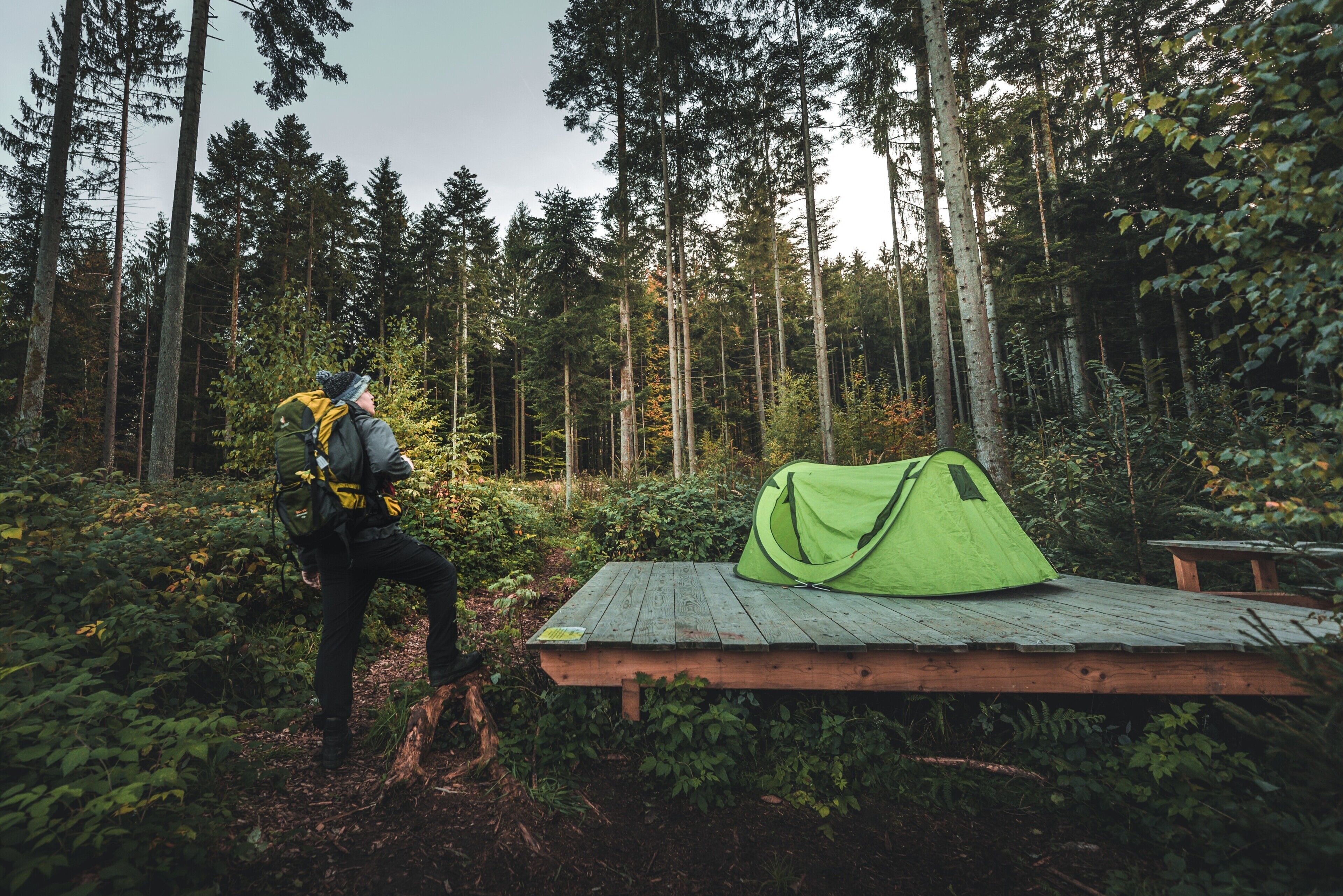 A forested area with a green tent on a wooden platform, a person with a backpack, and a bench.