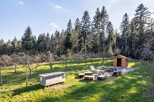 Trekking Camp on the Renchtalsteig – Campsite