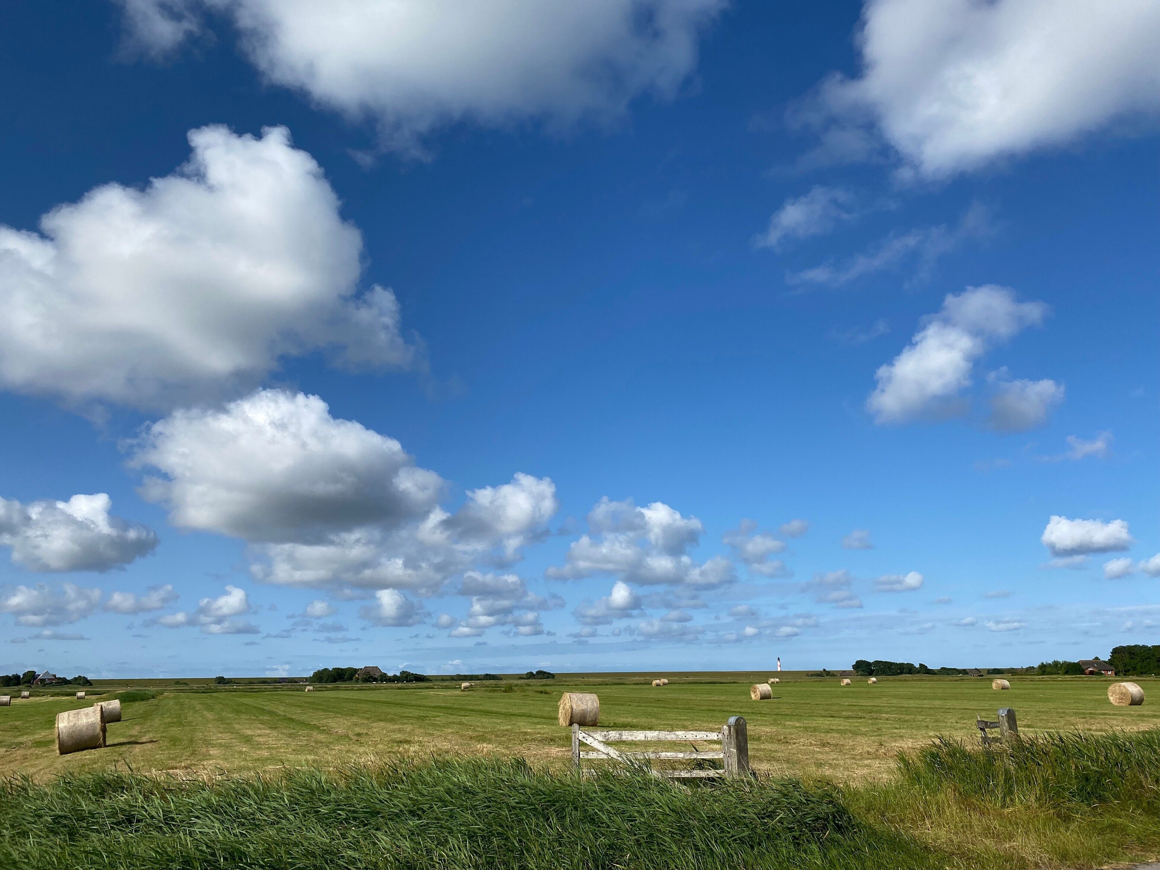 A rural landscape with hay bales, a wooden fence, and a distant lighthouse.