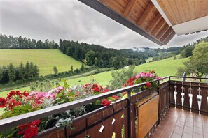 Àrea exterior de l'allotjament