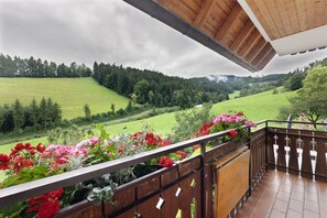 Un balcon donnant sur une vallée verdoyante et un plafond en bois.
