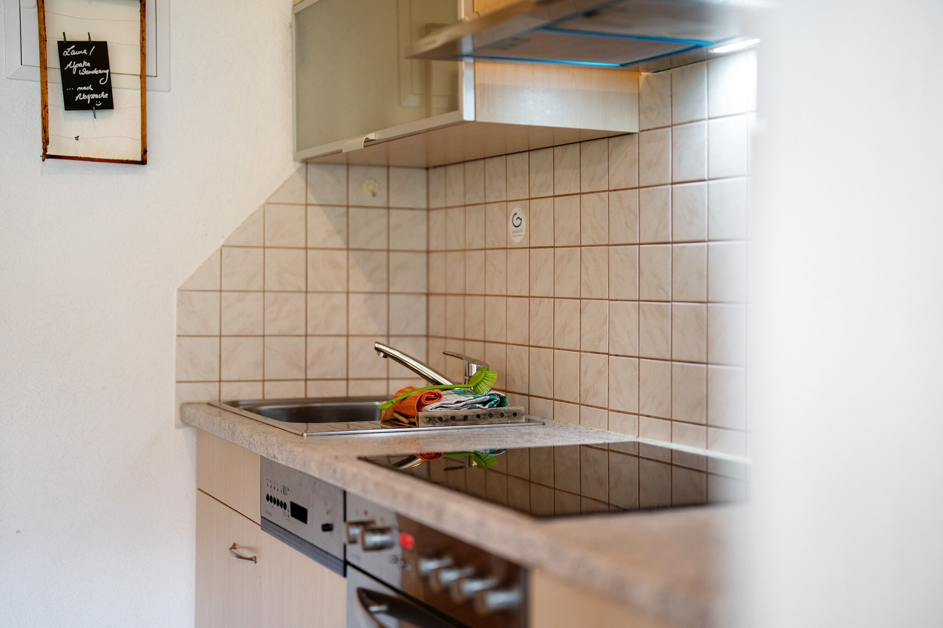 A kitchen with a sink, a dish rack, and a dishwasher.
