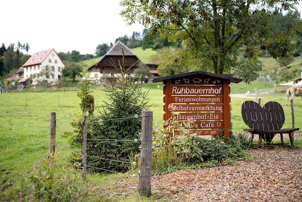 Parco della struttura