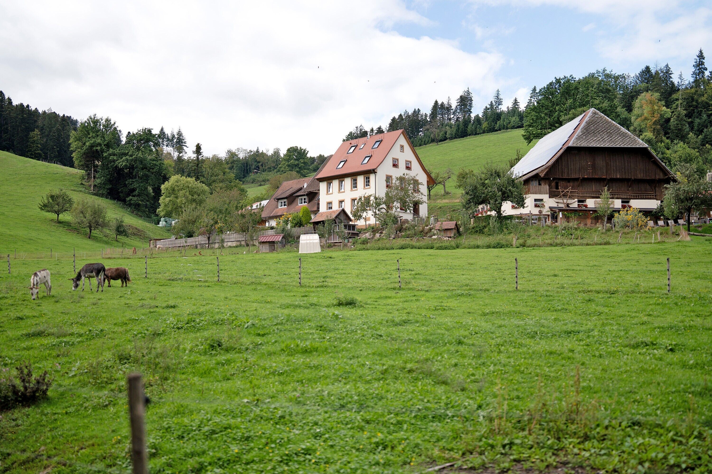 Un paysage rural avec une grande maison, des granges et des chevaux au pâturage.