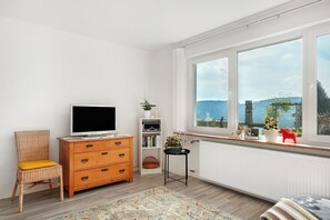A room with a television, a wicker chair, a wooden dresser, a bookshelf, a radiator, and a window with a view.