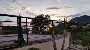 A paved pathway with a metal railing, palm trees, and a small bush.