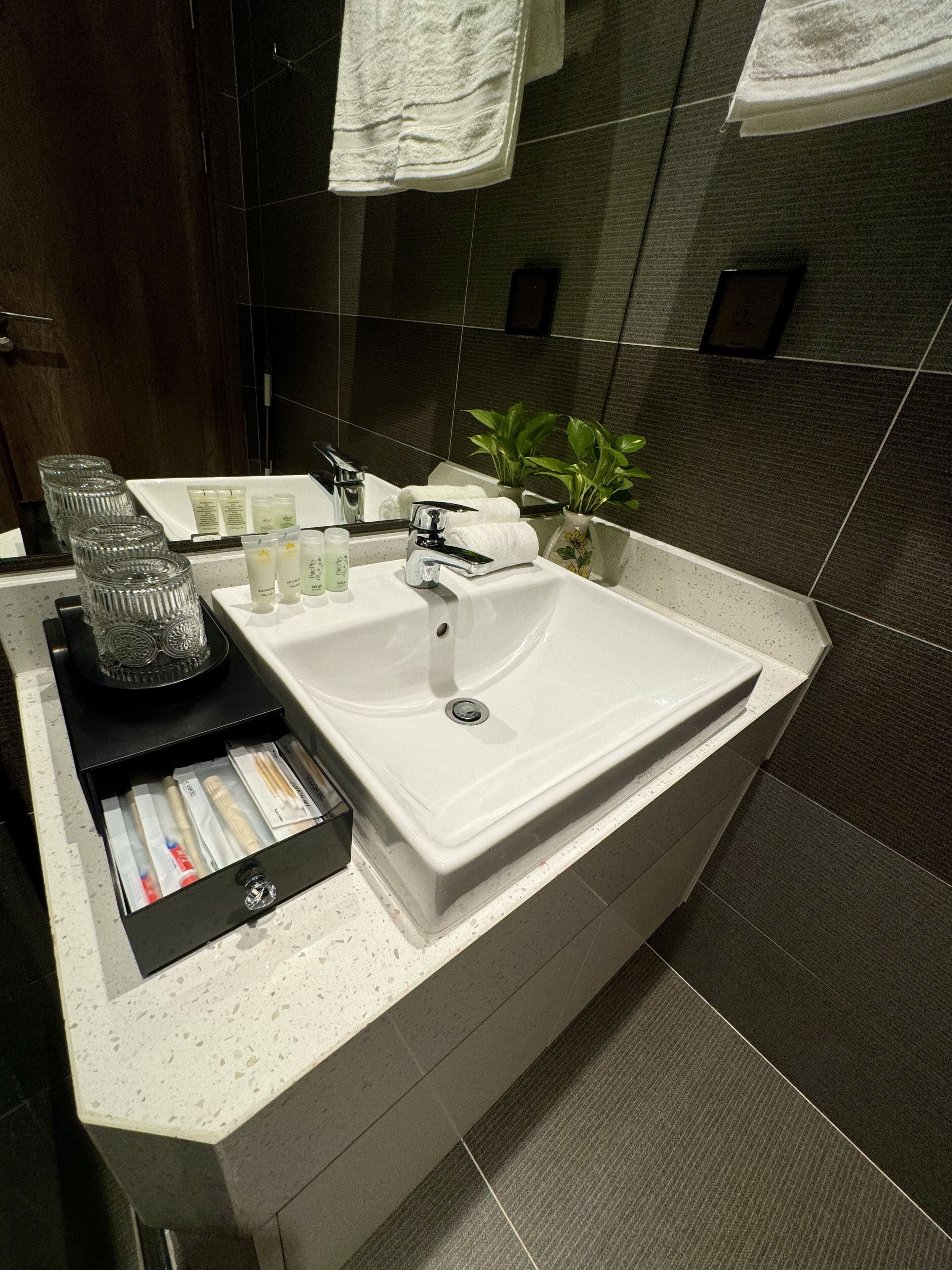 A modern bathroom with a large sink, a mirror, and a small potted plant.