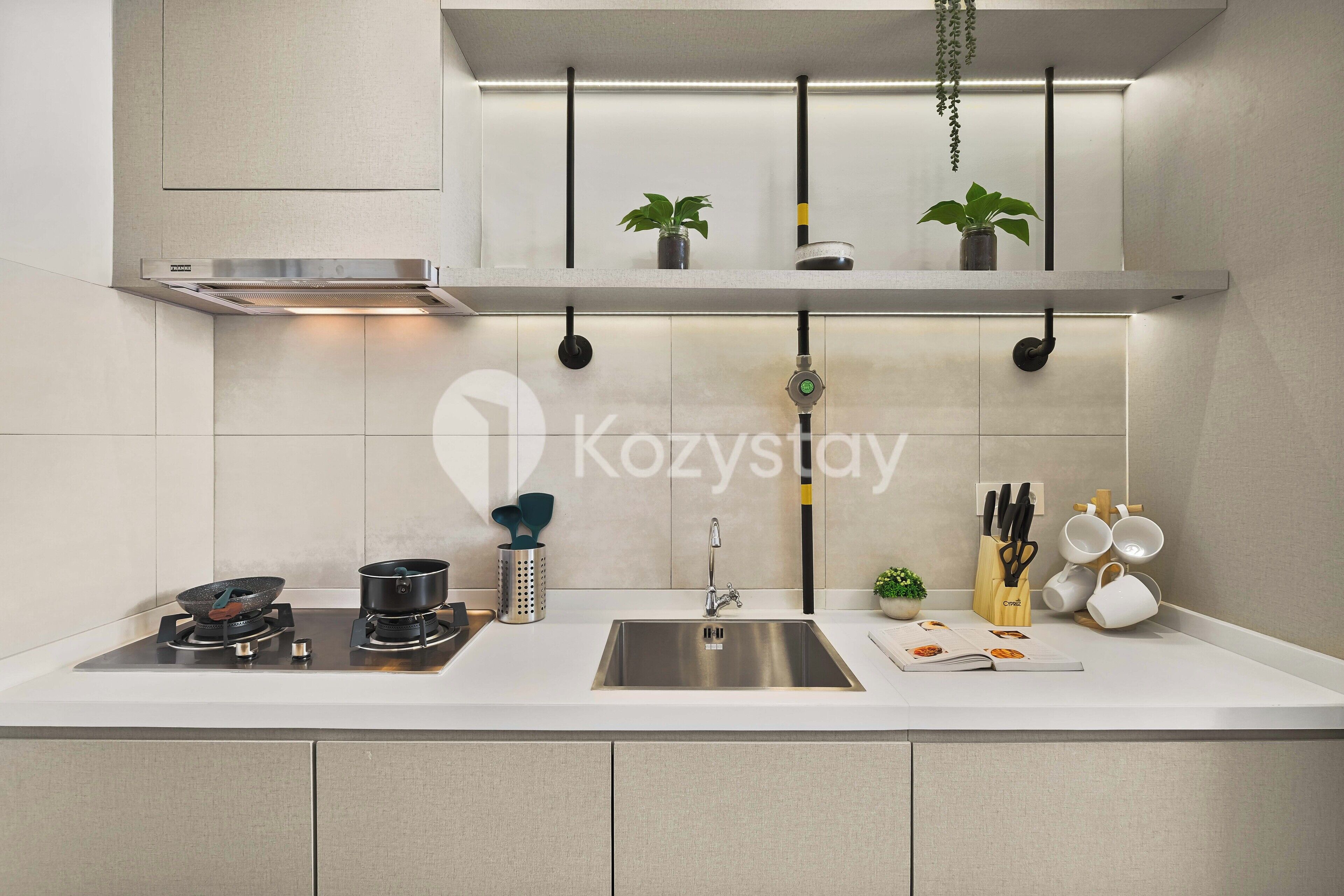 Una cocina moderna con un lavamanos de acero inoxidable, una estufa a gas y una planta colgante.