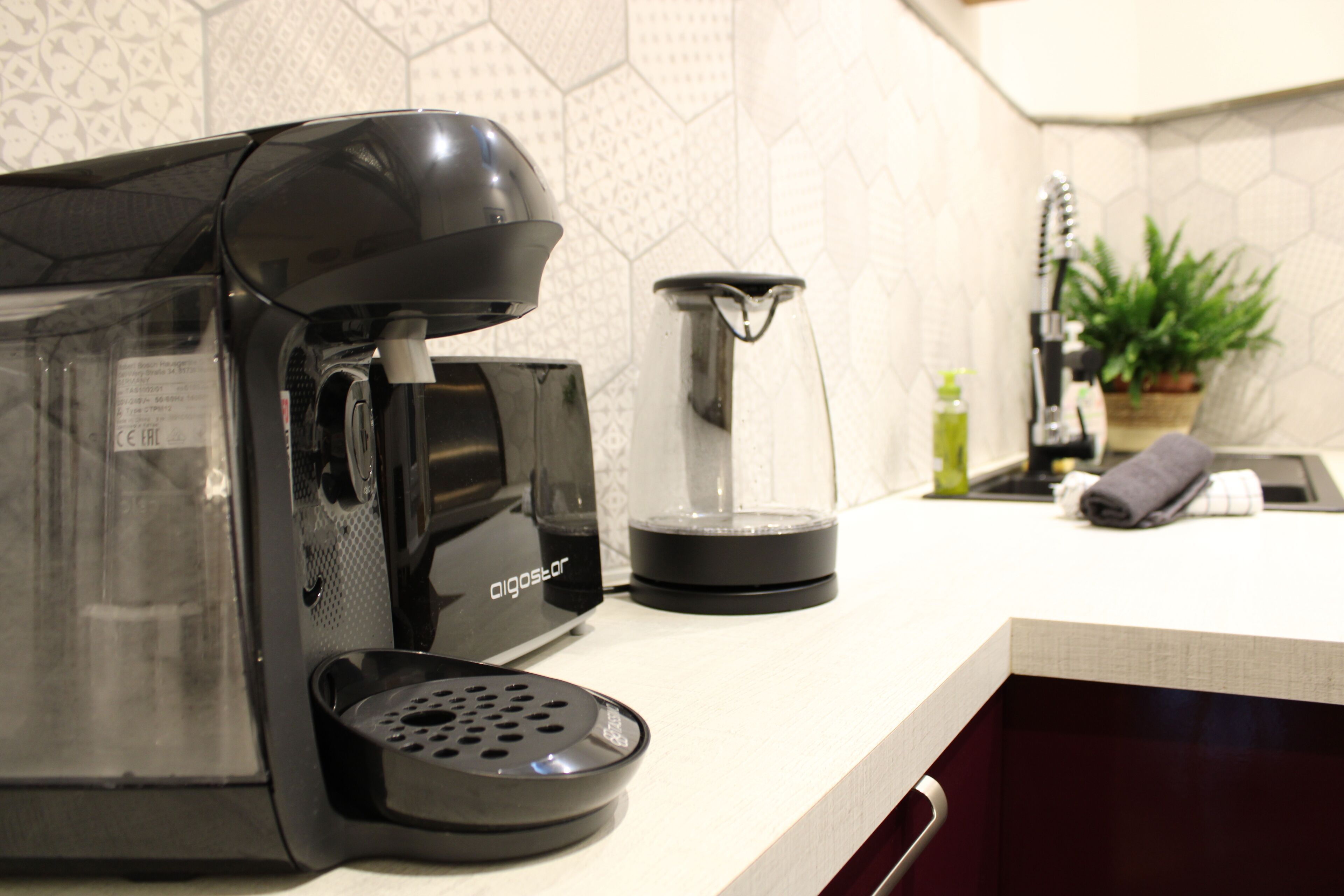 A kitchen with a coffee maker, a glass carafe, and a plant on the counter.