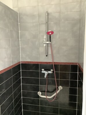 Shower, towels, soap, toilet paper - Le Rameau 4 room ground floor apartment Sainte Ménéhould town center Marne (Sainte Ménéhould)