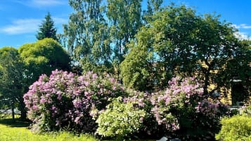 Apartment, 1 Bedroom, Accessible, Sauna | Garden