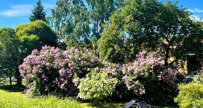 Charming Kemi Apartment With Sauna Department & Free Parking