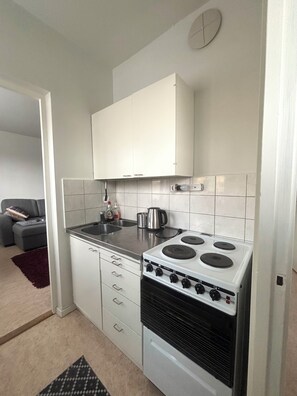 Apartment, 1 Bedroom, Accessible, Sauna | Interior