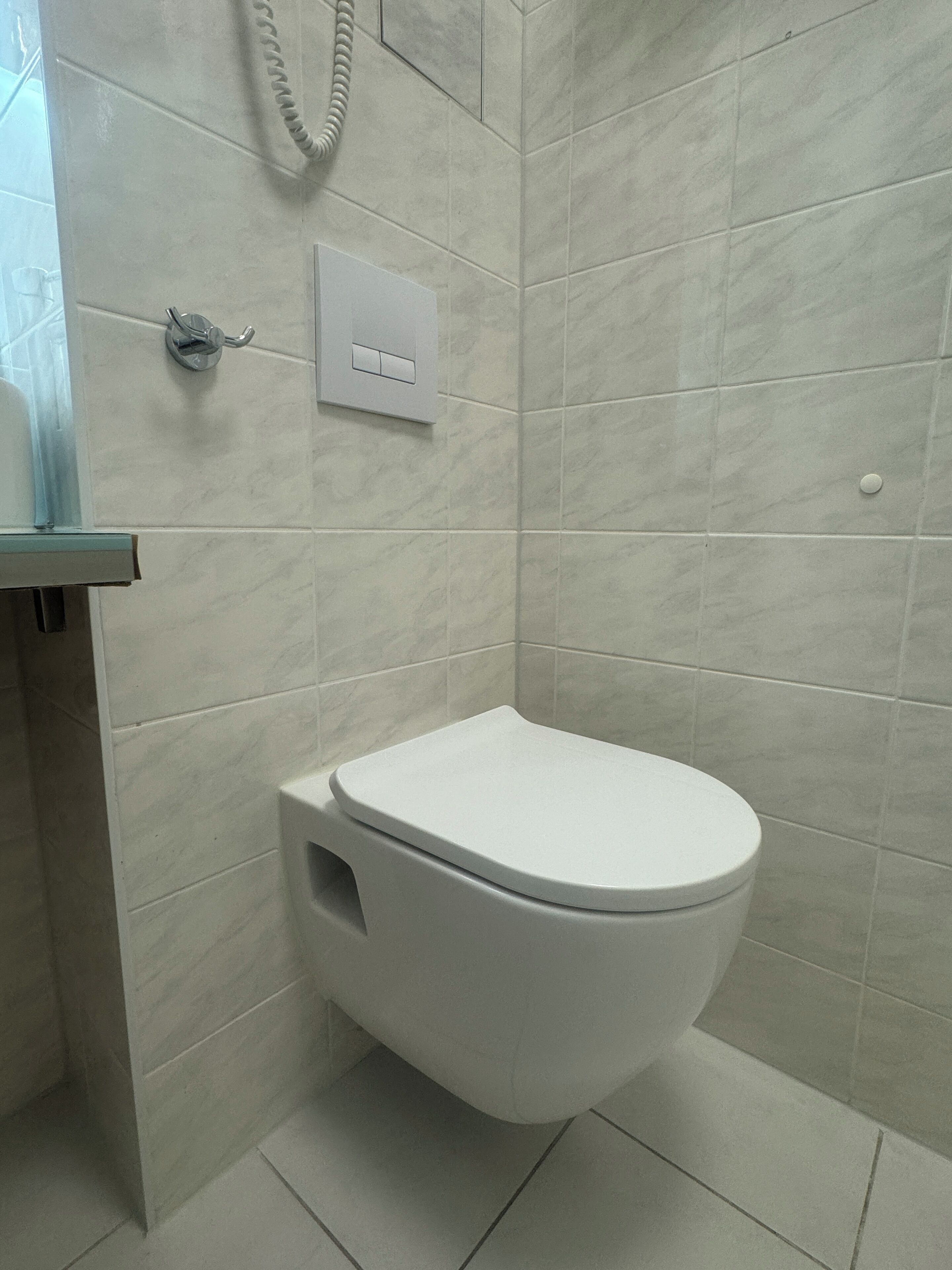 A modern bathroom with a white toilet, a glass shower enclosure, and a wall-mounted flush handle.