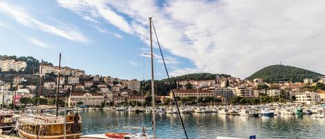 A marina with boats docked, a pedestrian crossing, and a view of a cityscape with buildings and a hill in the background.