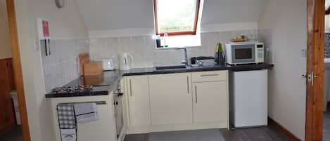 Appartement | Cuisine privée | Réfrigérateur, micro-ondes, four, plaque de cuisson