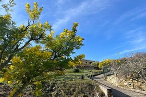 Property grounds - Appartement in Imperia (Imperia)