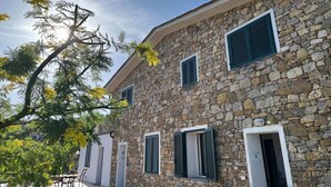 Un edificio de piedra con múltiples ventanas y contraventanas, un balcón y un árbol con flores amarillas.