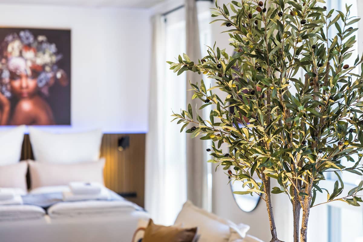 Comfort Studio Suite