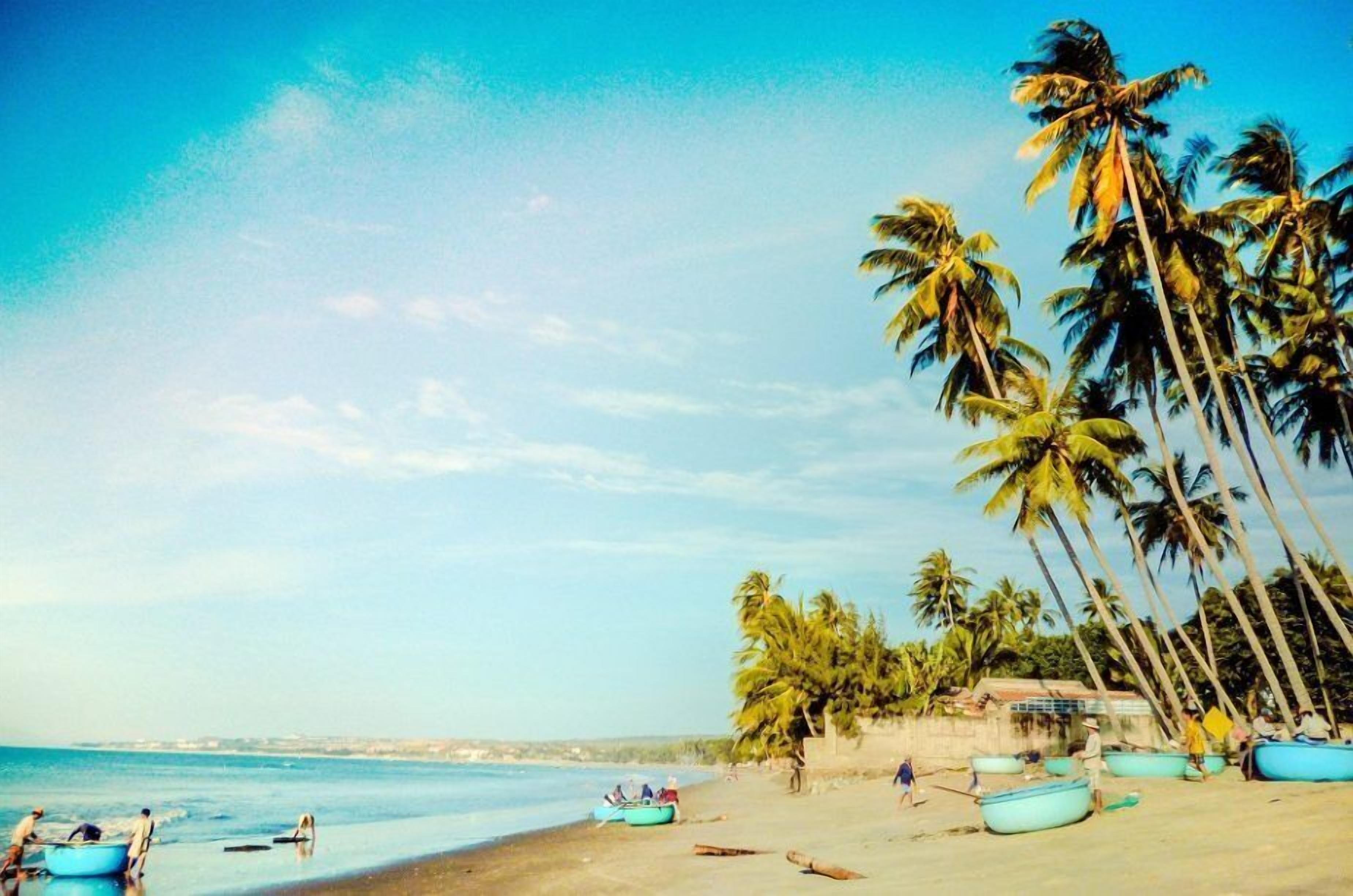 A beach with palm trees, boats, and people.