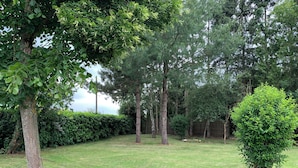 A well-maintained grassy yard with mature trees and a neatly trimmed hedge. - Country house close to town (Champfleur)