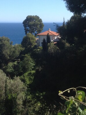 A house with a red-tiled roof, surrounded by dense greenery and overlooking a body of water.